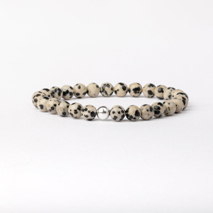 Dalmatian Jasper Essential Bracelet 6mm